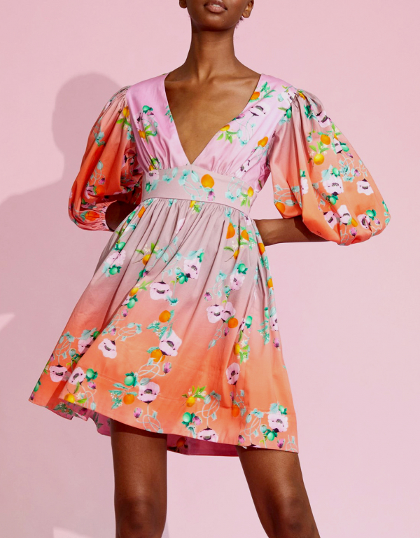 Ombre Floral Mini Dress